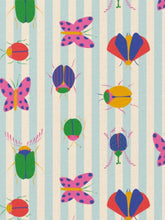 Charger l'image dans la galerie, Coton Insectes