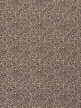 Charger l'image dans la galerie, Jersey de Coton Mini Graou Beige
